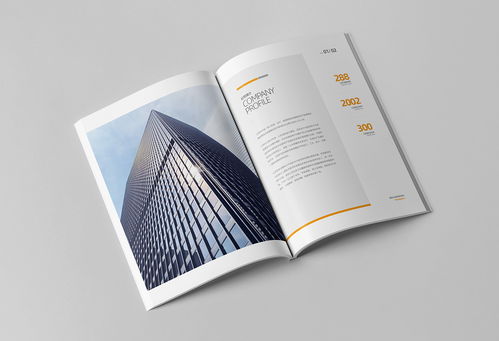 簡(jiǎn)約大氣，專業(yè)信賴 商務(wù)咨詢與投資企業(yè)公司畫冊(cè)